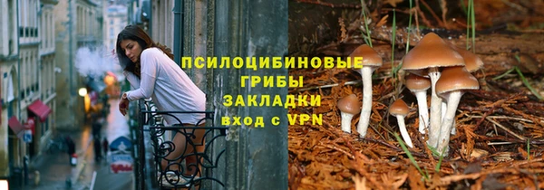 mdpv Богородицк